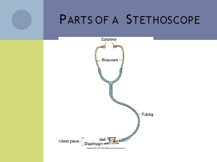 P ARTS OF A S TETHOSCOPE 