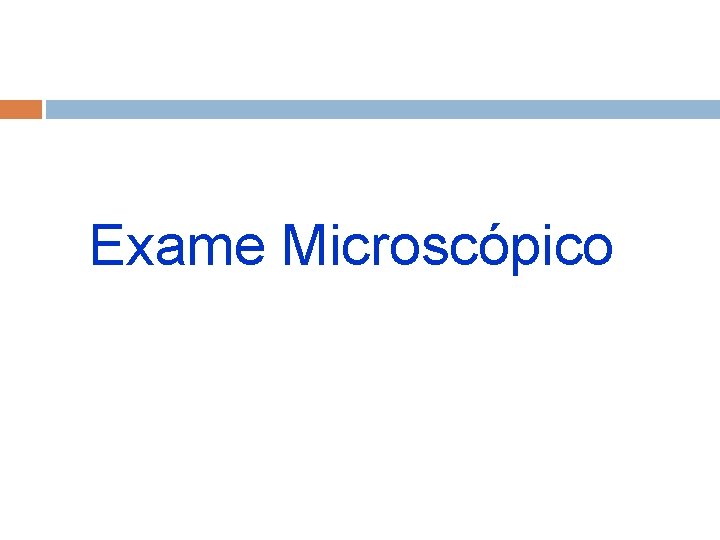 Exame Microscópico 