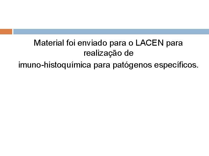 Material foi enviado para o LACEN para realização de imuno-histoquímica para patógenos específicos. 