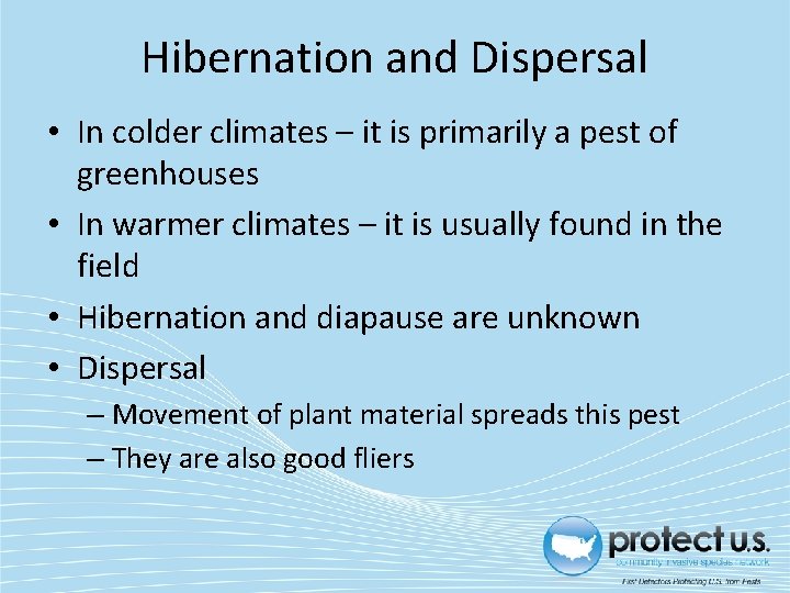 Hibernation and Dispersal • In colder climates – it is primarily a pest of Hibernation and Dispersal • In colder climates – it is primarily a pest of