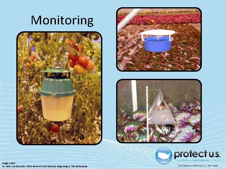 Monitoring Image credit: Dr. Peter van Deventer, Plant Research International, Wageningen, The Netherlands Monitoring Image credit: Dr. Peter van Deventer, Plant Research International, Wageningen, The Netherlands