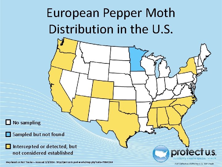 European Pepper Moth Distribution in the U. S. No sampling Sampled but not found European Pepper Moth Distribution in the U. S. No sampling Sampled but not found