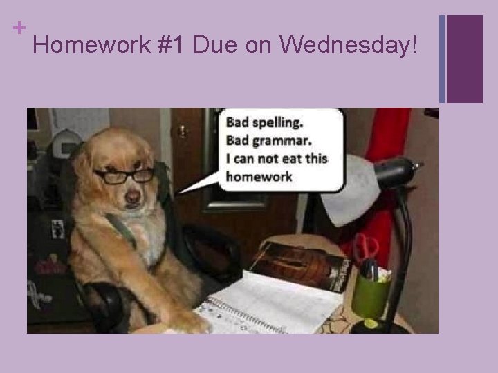 + Homework #1 Due on Wednesday! 