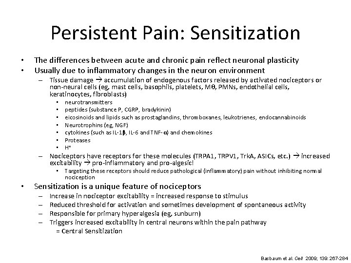 Persistent Pain: Sensitization • • The differences between acute and chronic pain reflect neuronal