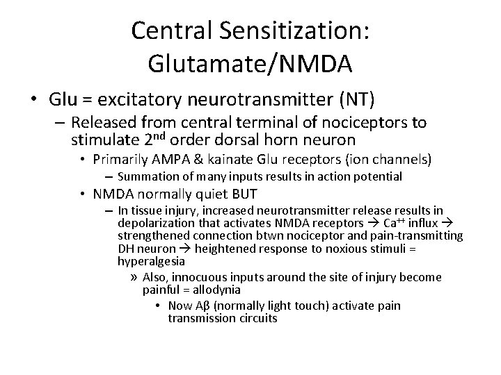 Central Sensitization: Glutamate/NMDA • Glu = excitatory neurotransmitter (NT) – Released from central terminal
