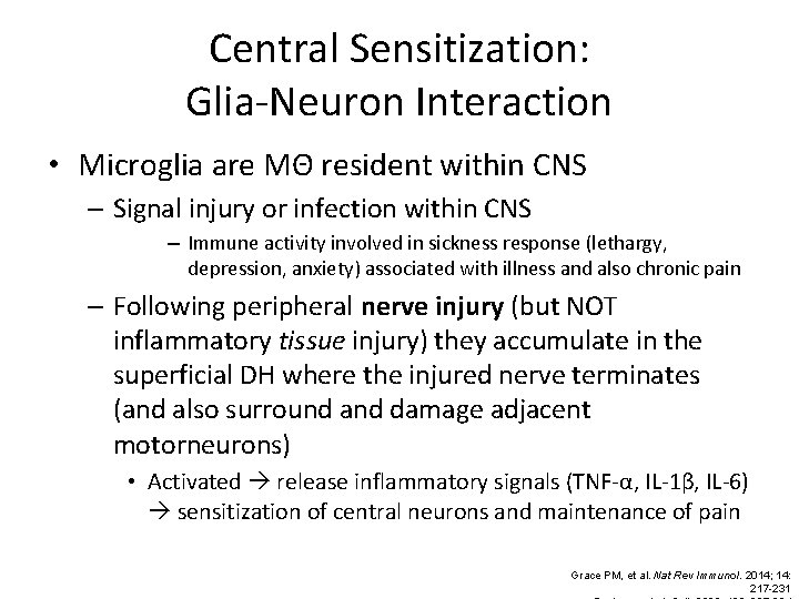 Central Sensitization: Glia-Neuron Interaction • Microglia are MΘ resident within CNS – Signal injury