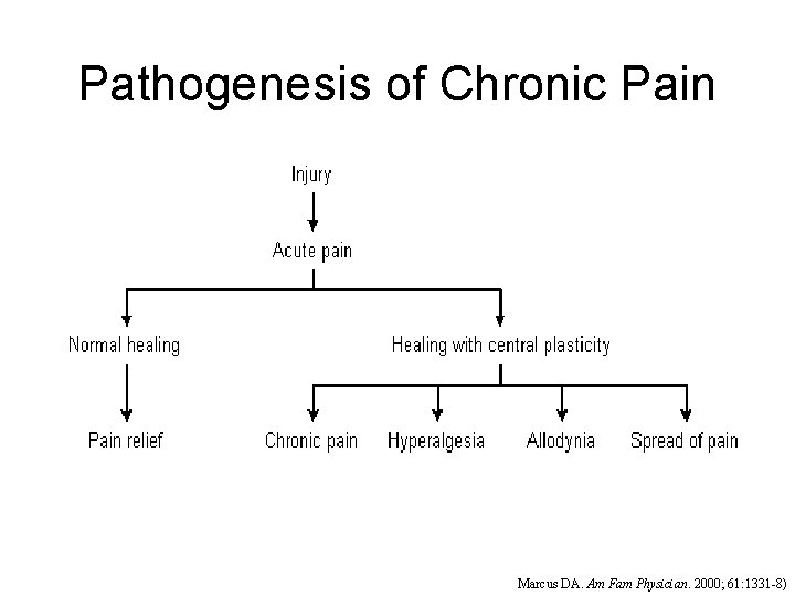 Pathogenesis of Chronic Pain Marcus DA. Am Fam Physician. 2000; 61: 1331 -8) 
