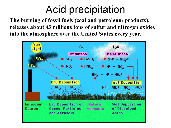 Acid precipitation The burning of fossil fuels (coal and petroleum products), releases about 43 Acid precipitation The burning of fossil fuels (coal and petroleum products), releases about 43