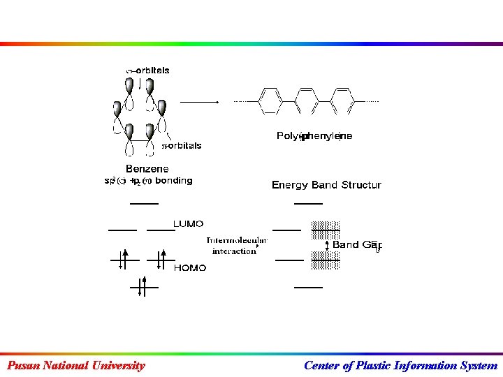Pusan National University Center of Plastic Information System 