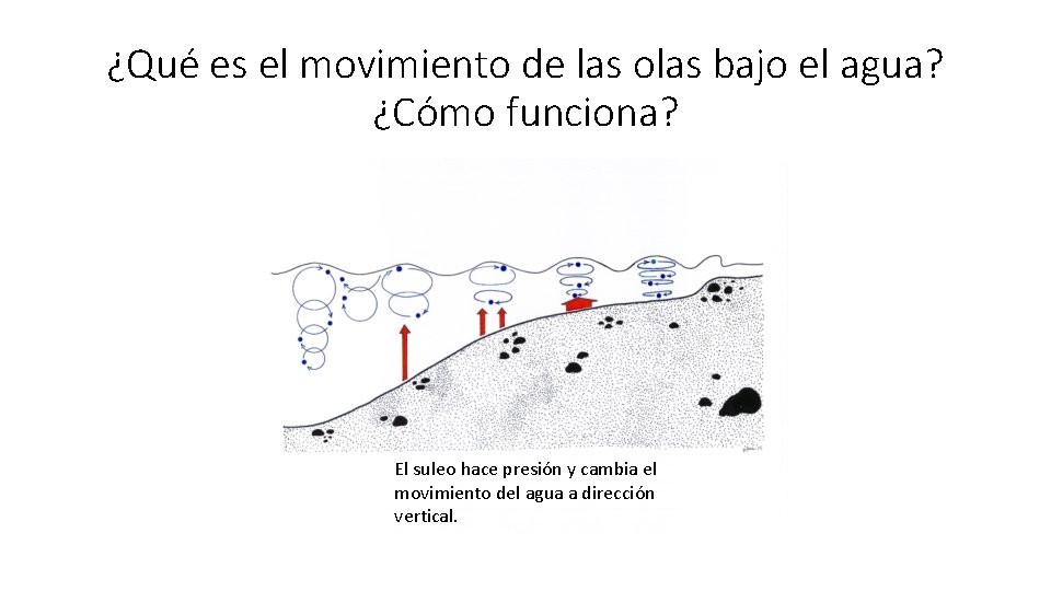 ¿Qué es el movimiento de las olas bajo el agua? ¿Cómo funciona? El suleo