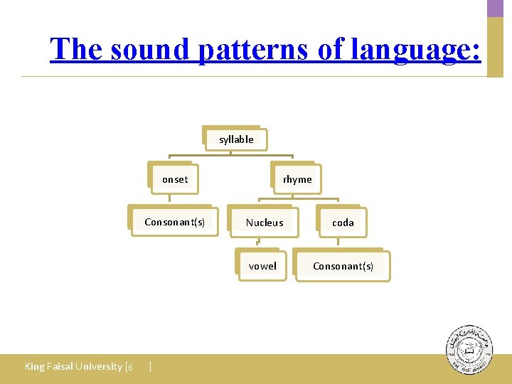 The sound patterns of language: syllable onset Consonant(s) King Faisal University [ 6 ]