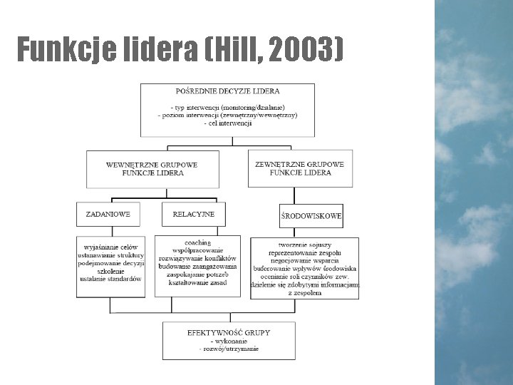 Funkcje lidera (Hill, 2003) Funkcje lidera (Hill, 2003)