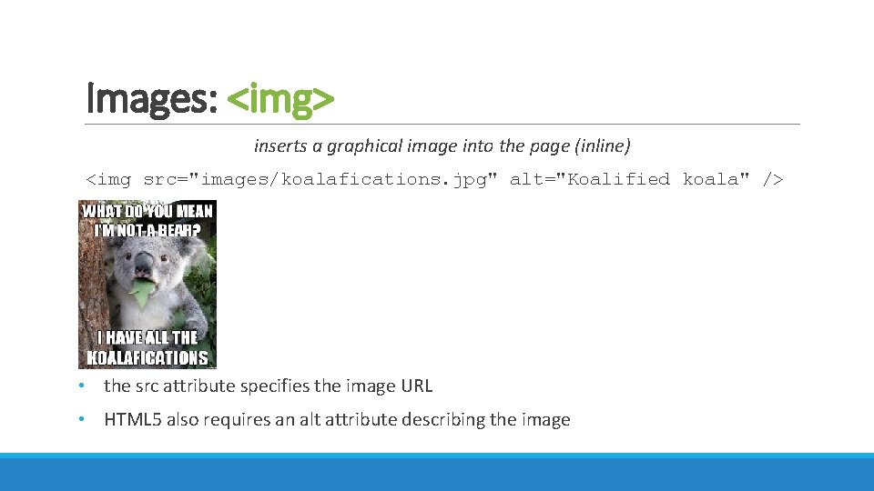 Images: <img> inserts a graphical image into the page (inline) <img src="images/koalafications. jpg" alt="Koalified