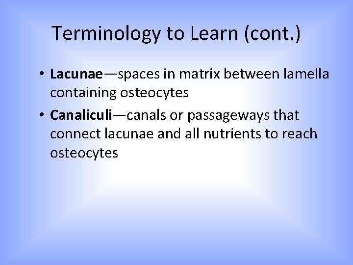 Terminology to Learn (cont. ) • Lacunae—spaces in matrix between lamella containing osteocytes • Terminology to Learn (cont. ) • Lacunae—spaces in matrix between lamella containing osteocytes •