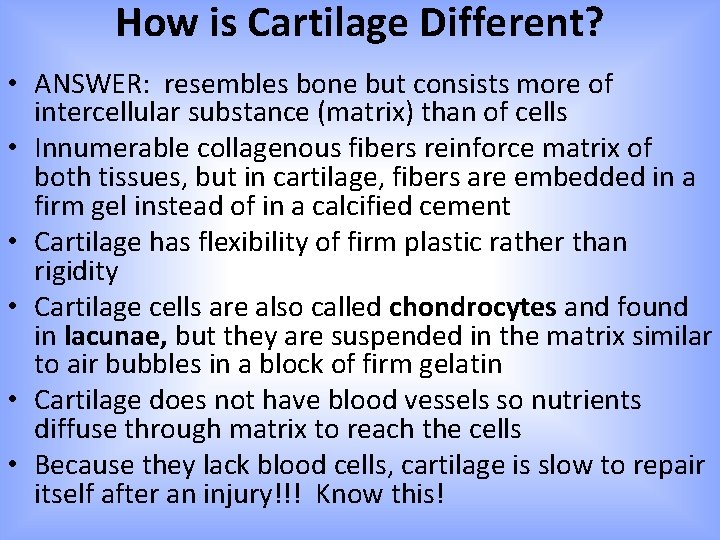 How is Cartilage Different? • ANSWER: resembles bone but consists more of intercellular substance