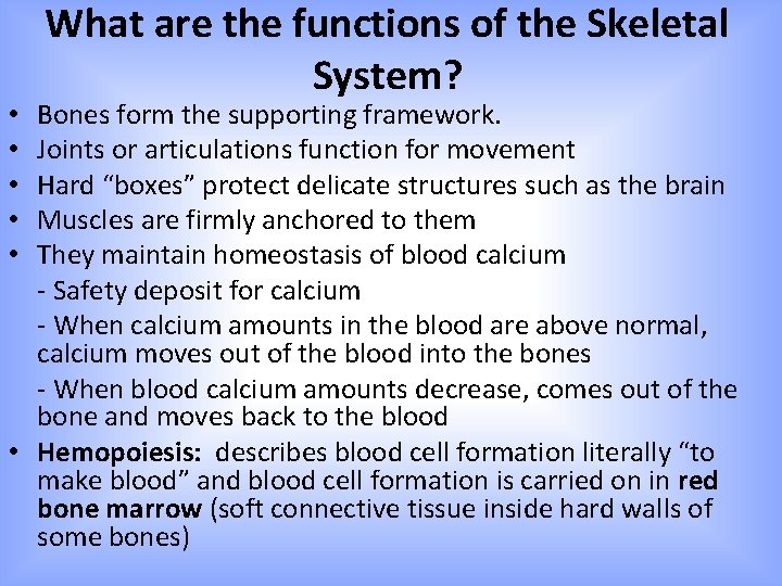 What are the functions of the Skeletal System? Bones form the supporting framework. Joints