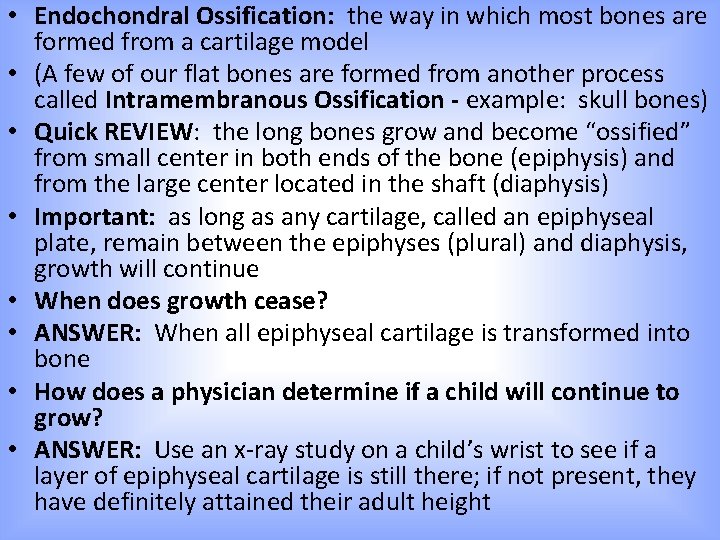  • Endochondral Ossification: the way in which most bones are formed from a