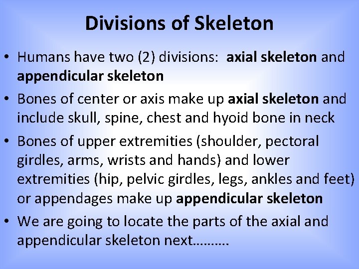 Divisions of Skeleton • Humans have two (2) divisions: axial skeleton and appendicular skeleton