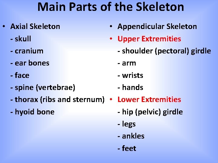 Main Parts of the Skeleton • Axial Skeleton • Appendicular Skeleton - skull • Main Parts of the Skeleton • Axial Skeleton • Appendicular Skeleton - skull •