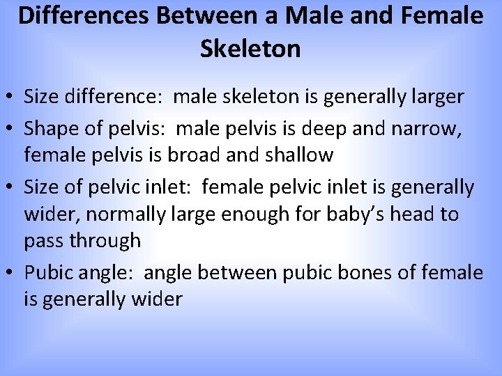 Differences Between a Male and Female Skeleton • Size difference: male skeleton is generally