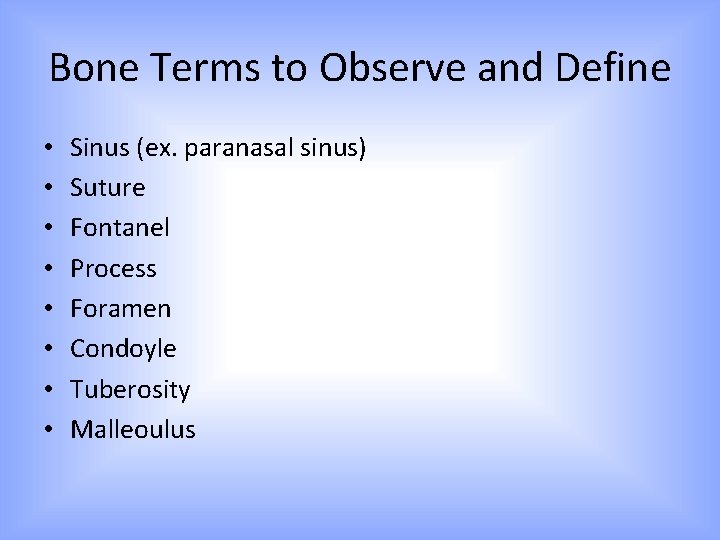 Bone Terms to Observe and Define • • Sinus (ex. paranasal sinus) Suture Fontanel