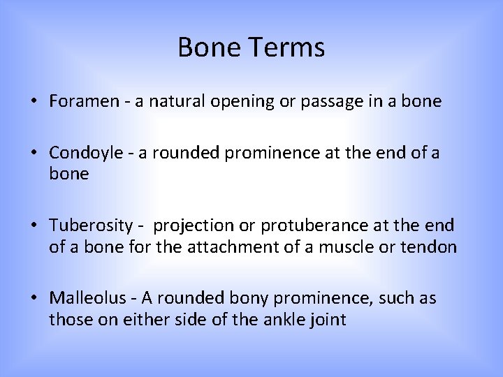 Bone Terms • Foramen - a natural opening or passage in a bone •