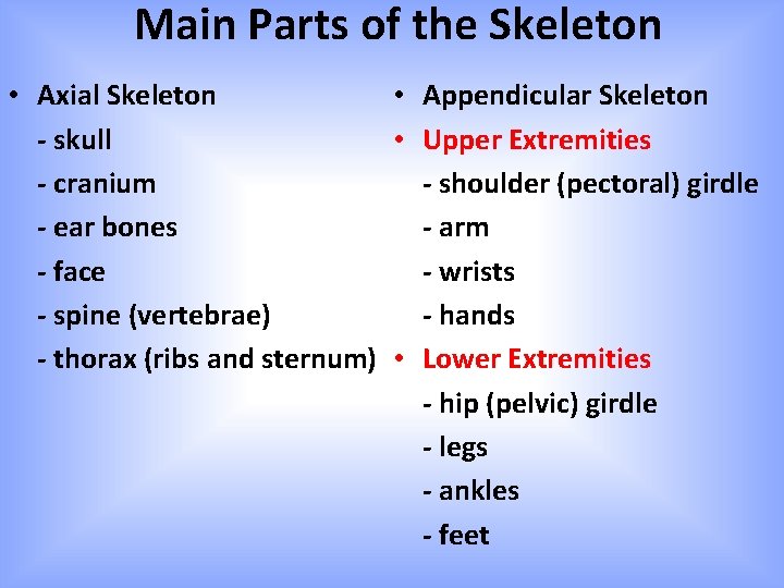 Main Parts of the Skeleton • Axial Skeleton • Appendicular Skeleton - skull •