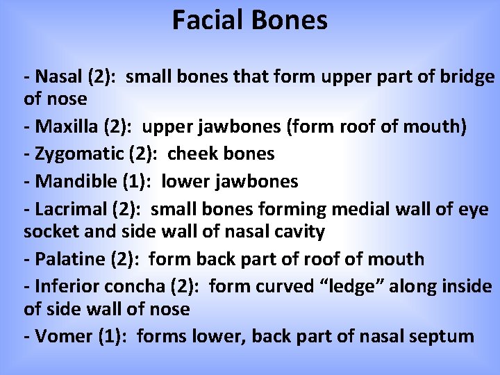 Facial Bones - Nasal (2): small bones that form upper part of bridge of Facial Bones - Nasal (2): small bones that form upper part of bridge of