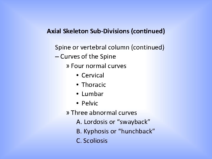 Axial Skeleton Sub-Divisions (continued) Spine or vertebral column (continued) – Curves of the Spine