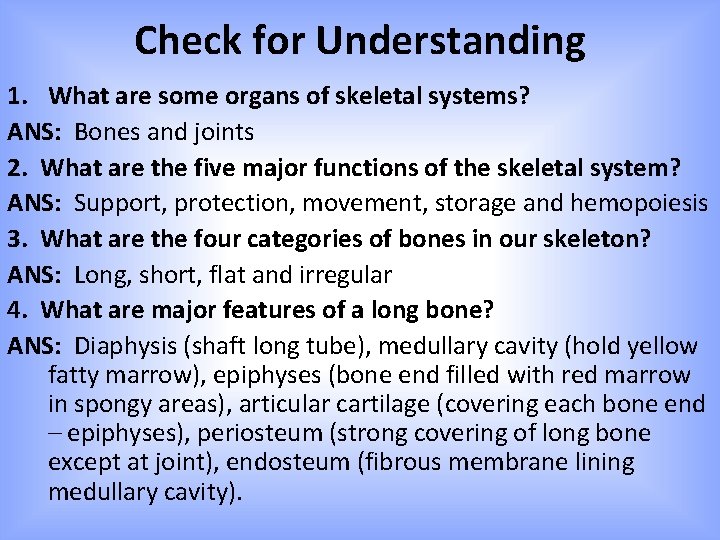 Check for Understanding 1. What are some organs of skeletal systems? ANS: Bones and Check for Understanding 1. What are some organs of skeletal systems? ANS: Bones and