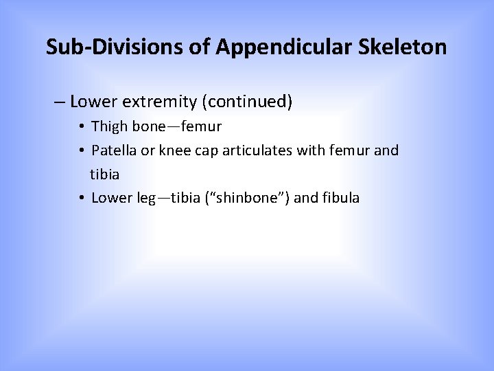 Sub-Divisions of Appendicular Skeleton – Lower extremity (continued) • Thigh bone—femur • Patella or