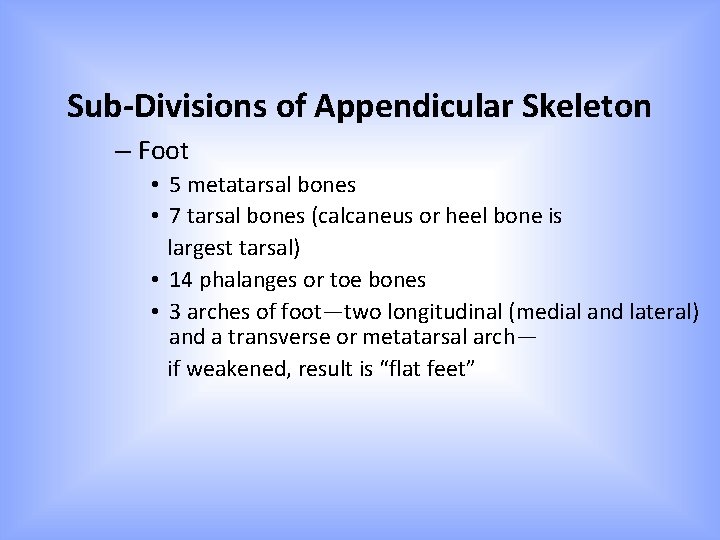 Sub-Divisions of Appendicular Skeleton – Foot • 5 metatarsal bones • 7 tarsal bones