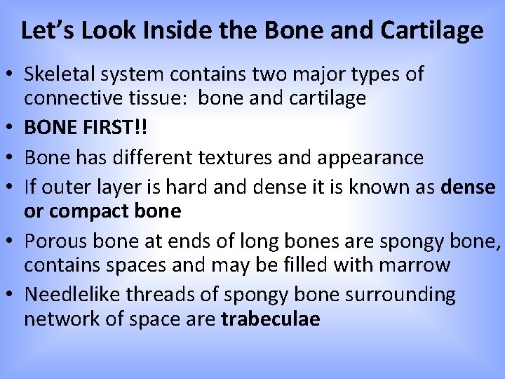Let’s Look Inside the Bone and Cartilage • Skeletal system contains two major types