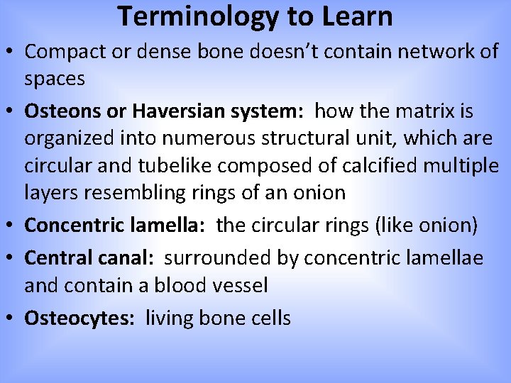 Terminology to Learn • Compact or dense bone doesn’t contain network of spaces •