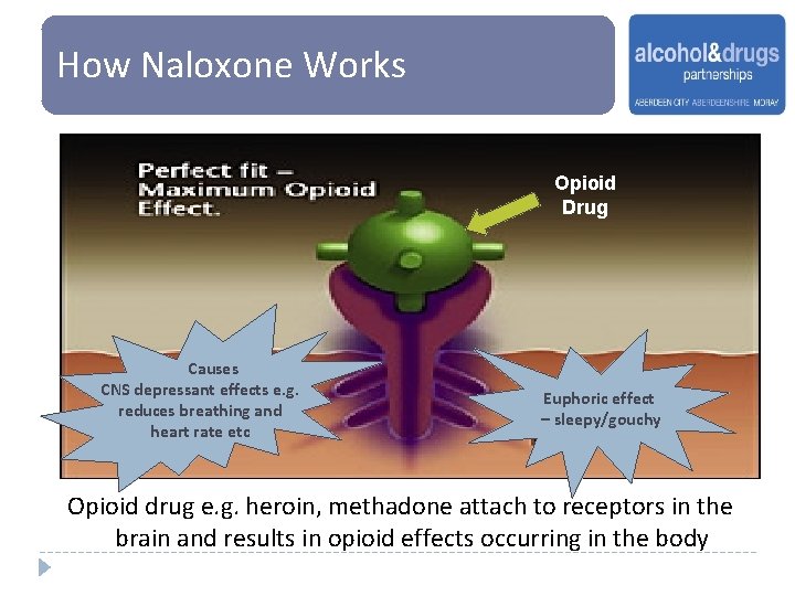 How Naloxone Works Opioid Drug Causes CNS depressant effects e. g. reduces breathing and