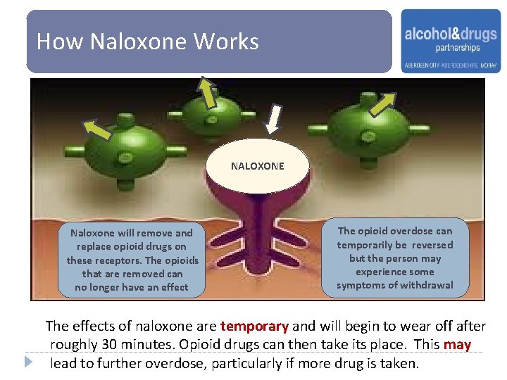 How Naloxone Works NALOXONE Naloxone will remove and replace opioid drugs on these receptors.