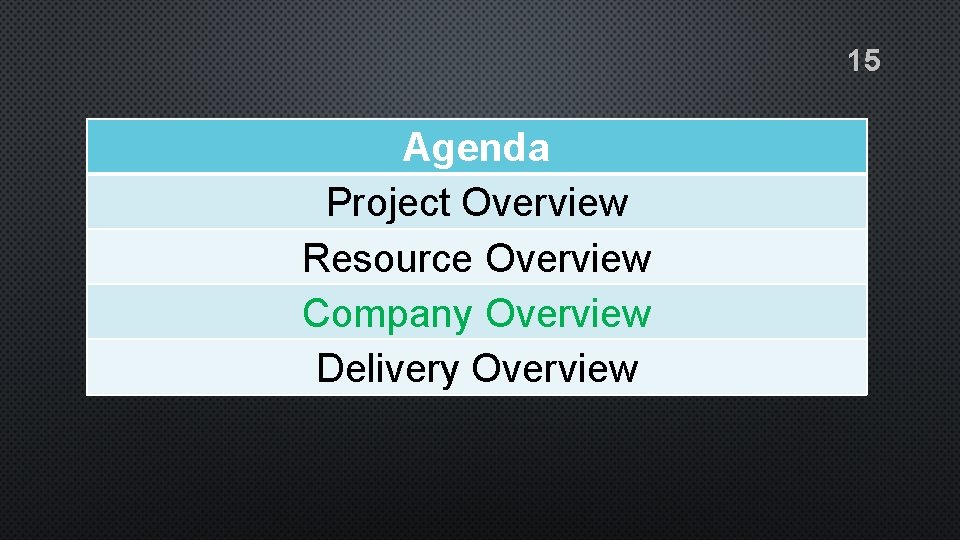 15 Agenda Project Overview Resource Overview Company Overview Delivery Overview 