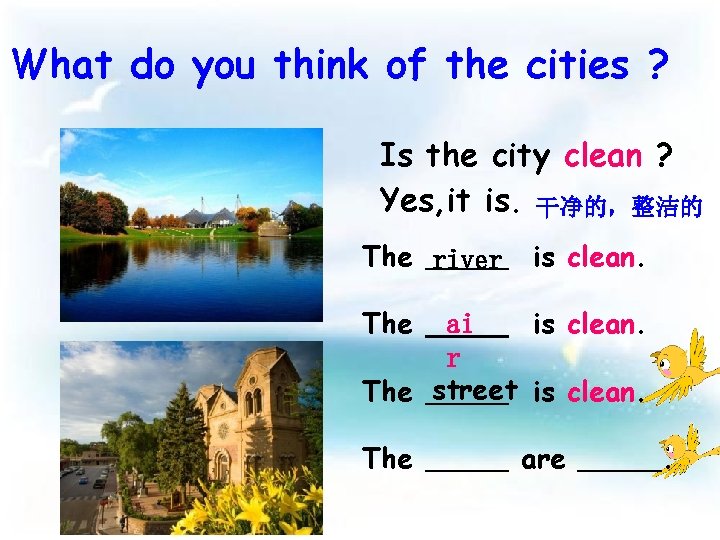 What do you think of the cities ? Is the city clean ? Yes,