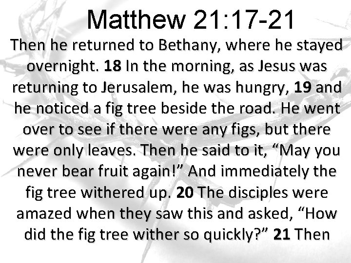 Matthew 21: 17 -21 Then he returned to Bethany, where he stayed overnight. 18 Matthew 21: 17 -21 Then he returned to Bethany, where he stayed overnight. 18