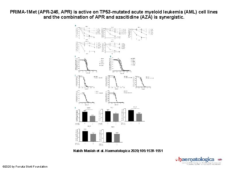 PRIMA-1 Met (APR-246, APR) is active on TP 53 -mutated acute myeloid leukemia (AML)
