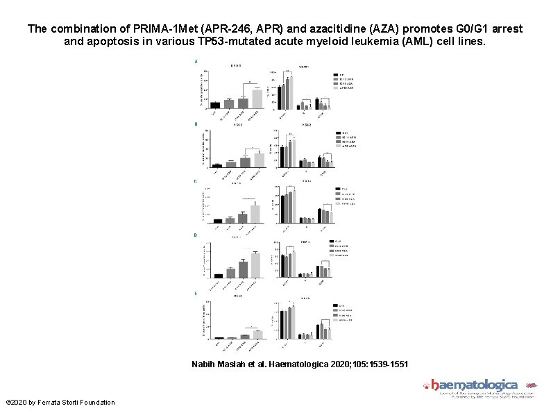 The combination of PRIMA-1 Met (APR-246, APR) and azacitidine (AZA) promotes G 0/G 1
