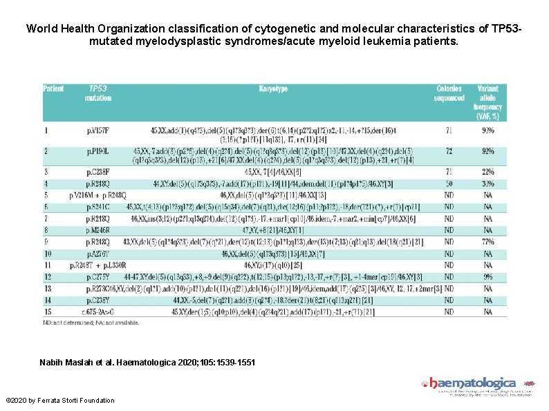 World Health Organization classification of cytogenetic and molecular characteristics of TP 53 mutated myelodysplastic