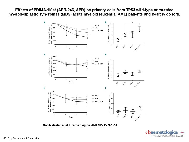 Effects of PRIMA-1 Met (APR-246, APR) on primary cells from TP 53 wild-type or