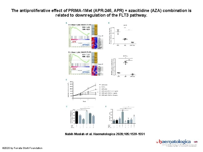 The antiproliferative effect of PRIMA-1 Met (APR-246, APR) + azacitidine (AZA) combination is related