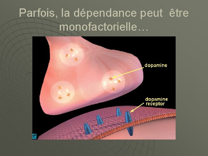 Parfois, la dépendance peut être monofactorielle… 