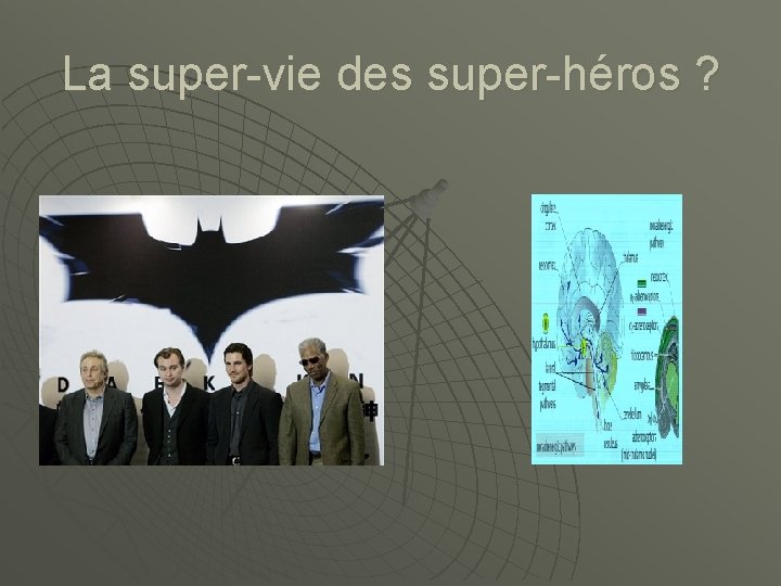 La super-vie des super-héros ? 