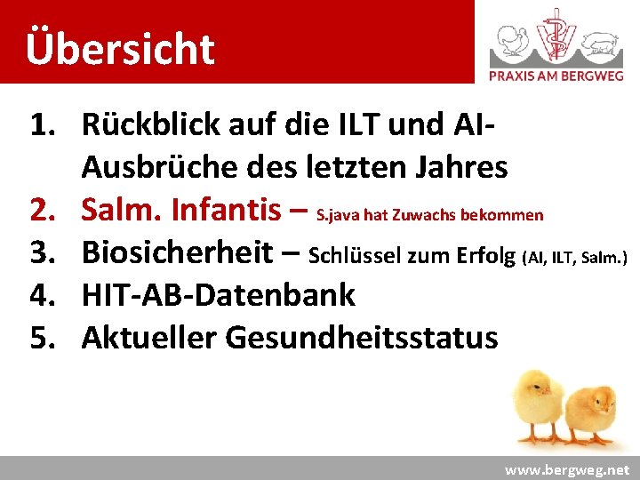 Übersicht : 1. Rückblick auf die ILT und AI 2. 3. 4. 5. Ausbrüche