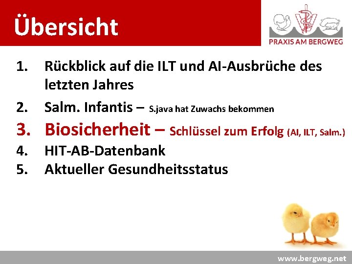 Übersicht : 1. Rückblick auf die ILT und AI-Ausbrüche des 2. letzten Jahres Salm.