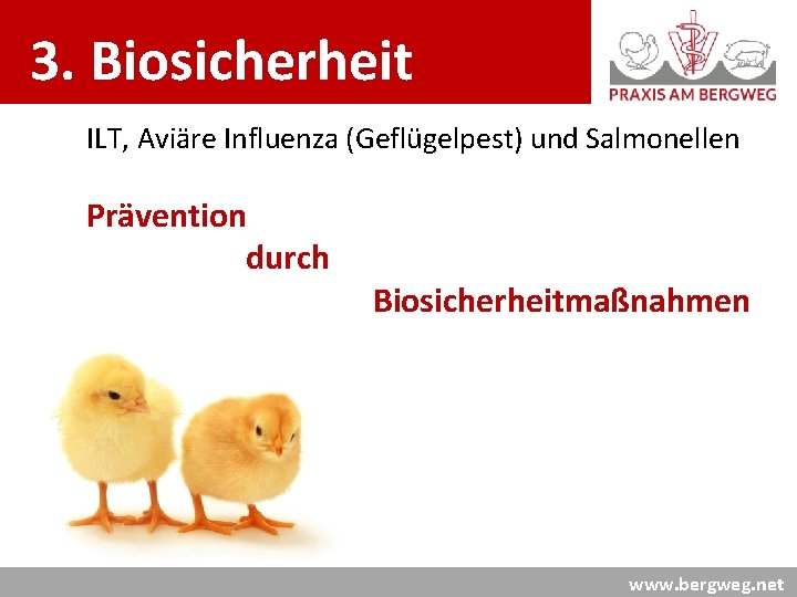 3. Biosicherheit ILT, Aviäre Influenza (Geflügelpest) und Salmonellen Prävention durch Biosicherheitmaßnahmen www. bergweg. net