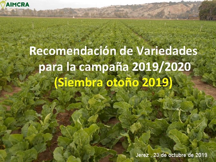 Recomendación de Variedades para la campaña 2019/2020 (Siembra otoño 2019) Jerez , 23 de
